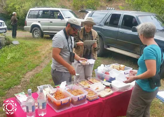 Бirdwatchers' lunch break